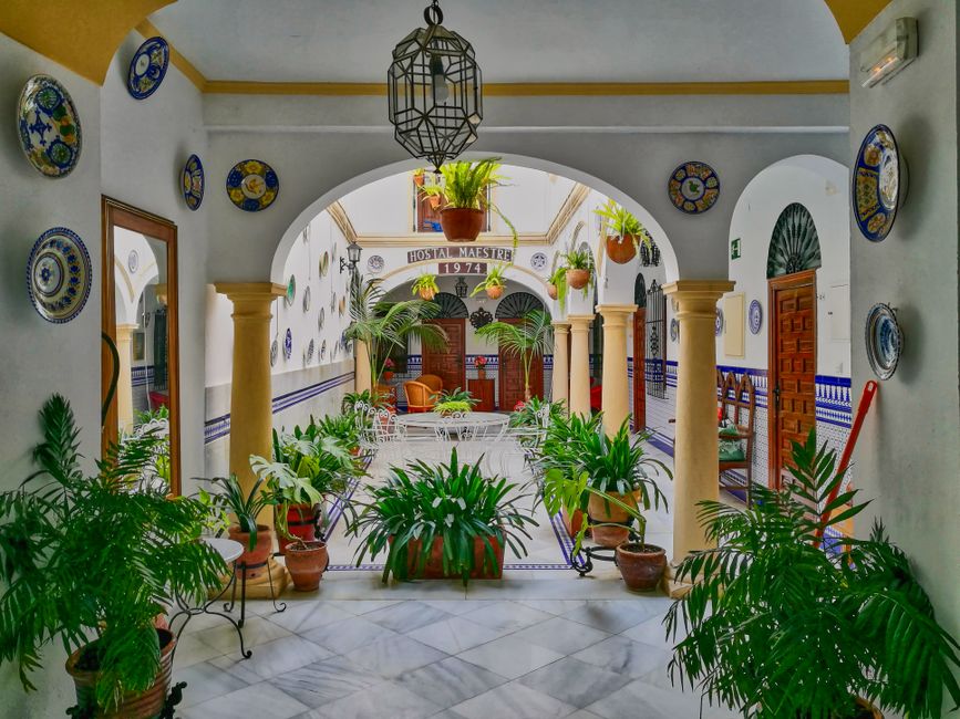 Patio le matin